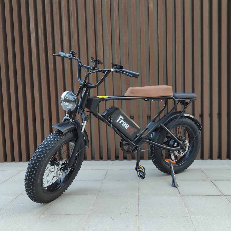 Freego DK200 Electric Bike