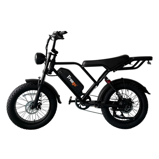 Freego FTW-01 Electric Bike