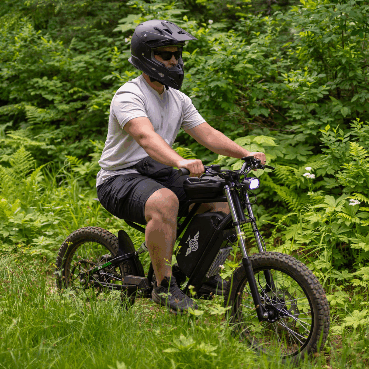 Freego Nova 3 Electric Bike