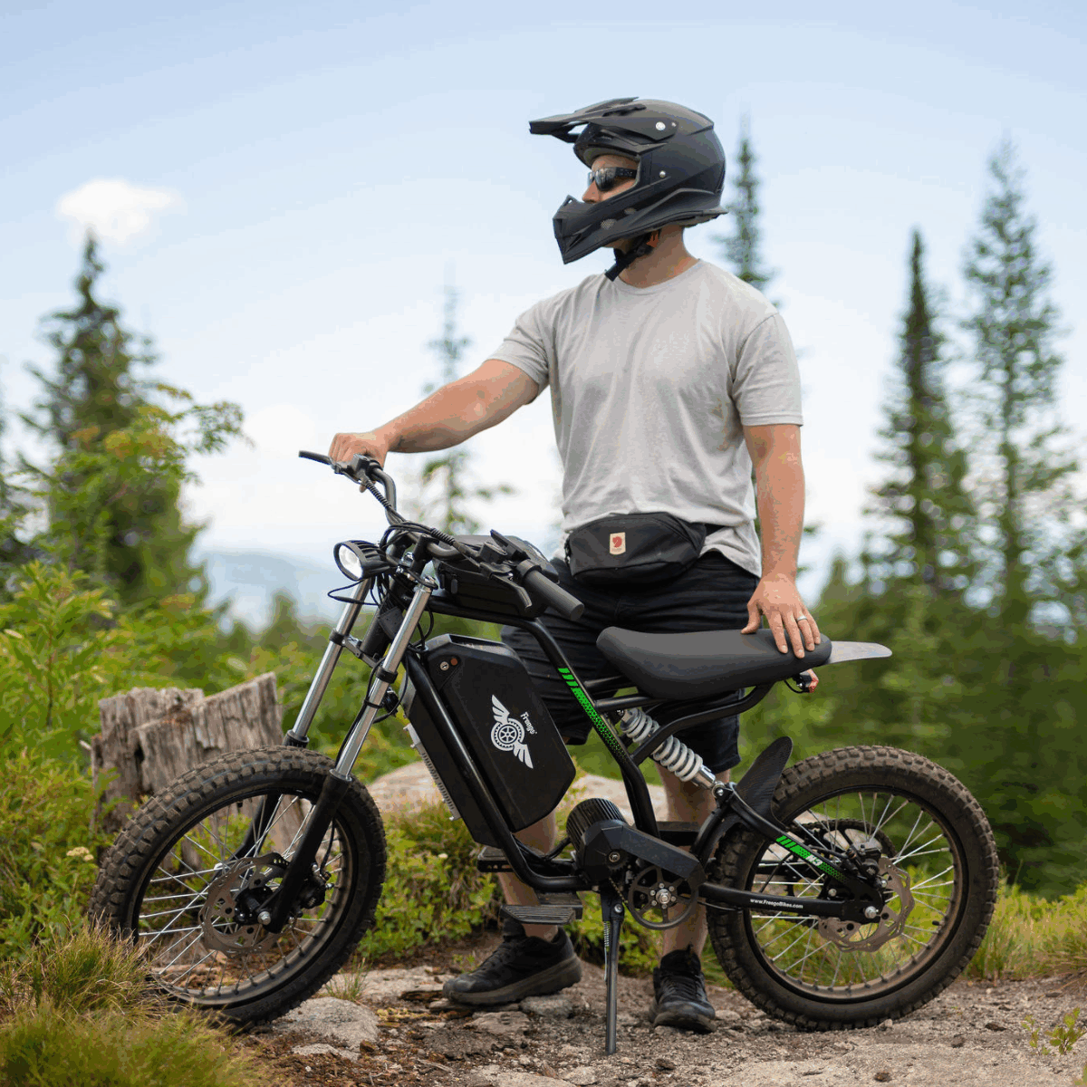 Freego Nova 3 Electric Bike