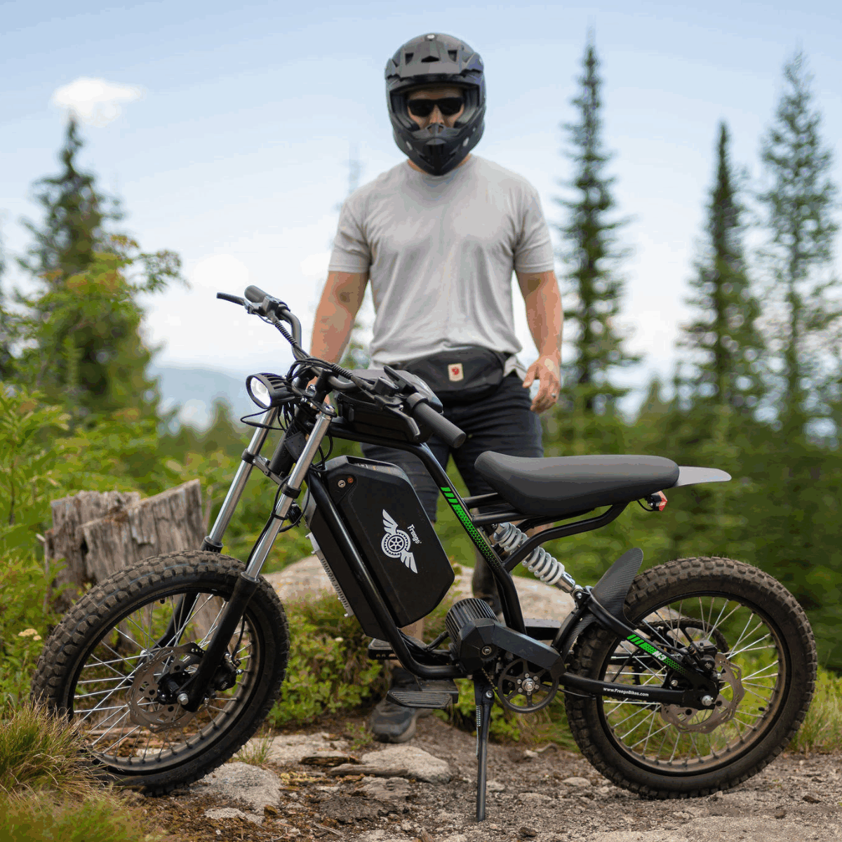 Freego Nova 3 Electric Bike
