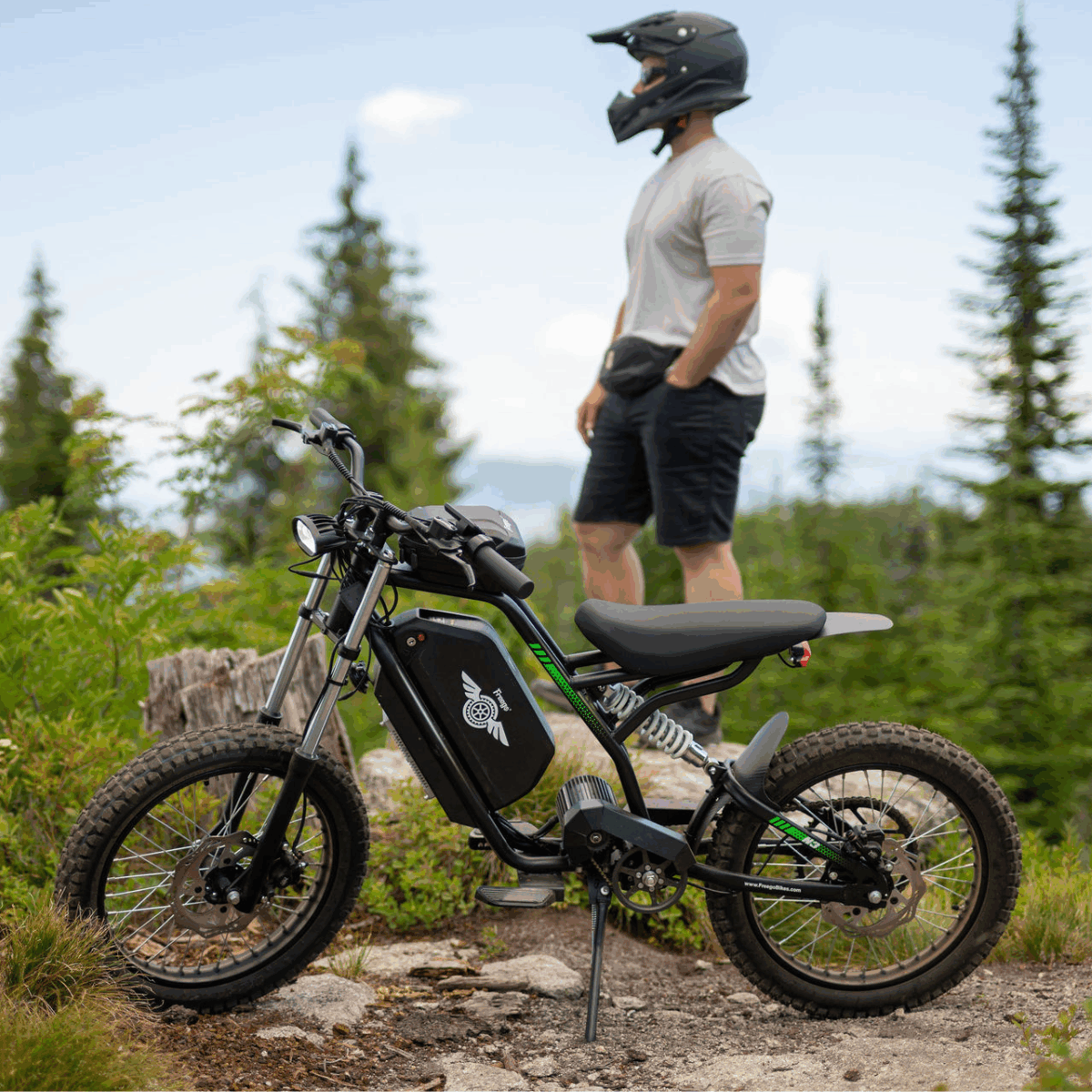 Freego Nova 3 Electric Bike