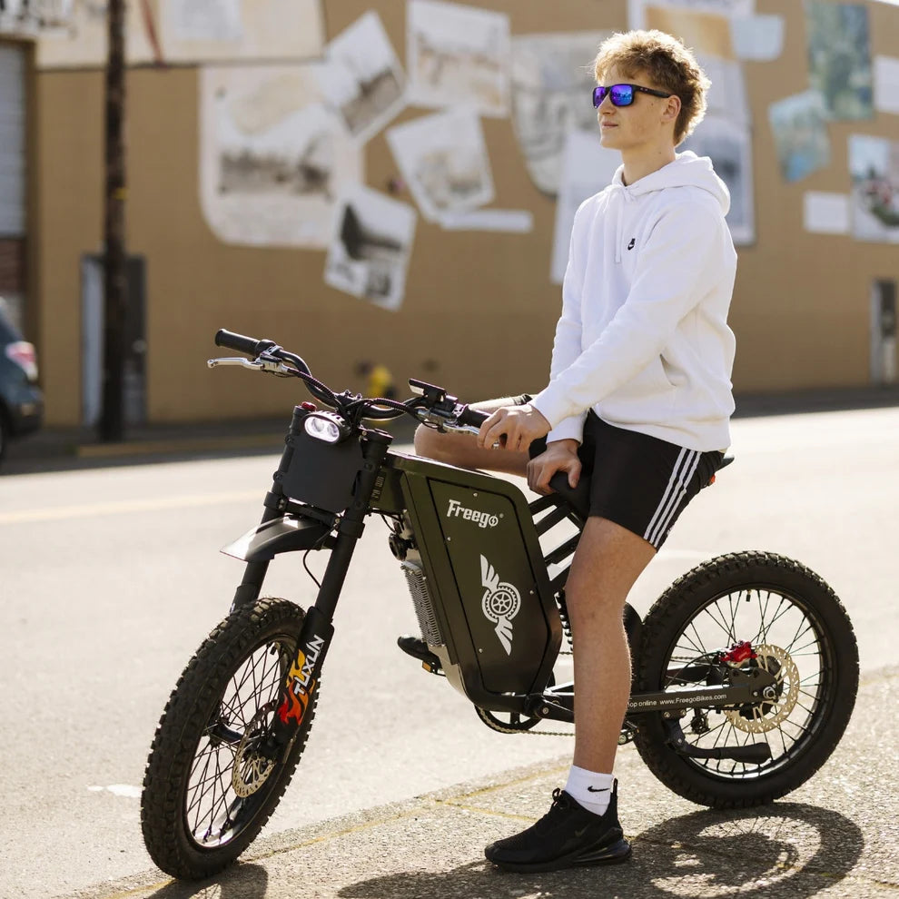 FREEGO X1 SE 250W City Commuter E-Bike