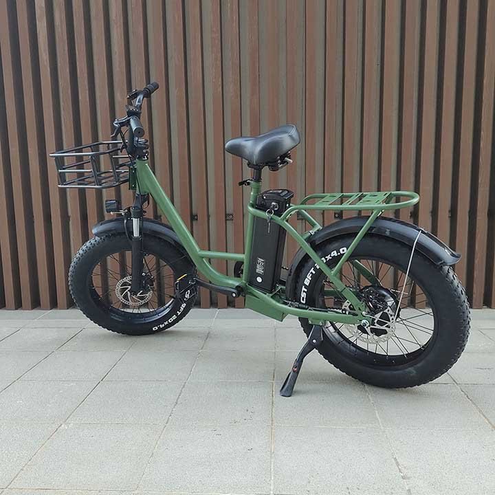 Freego FB-20X Electric Bike