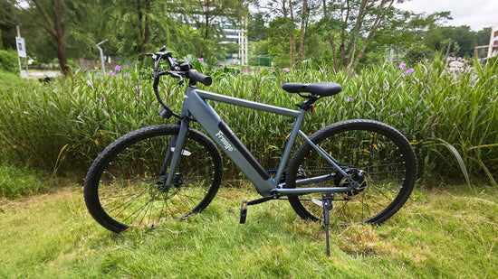 Freego® Europe Official Shop | Electric Bikes & Motorcycles
