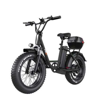 Freego FB-20X Electric Bike