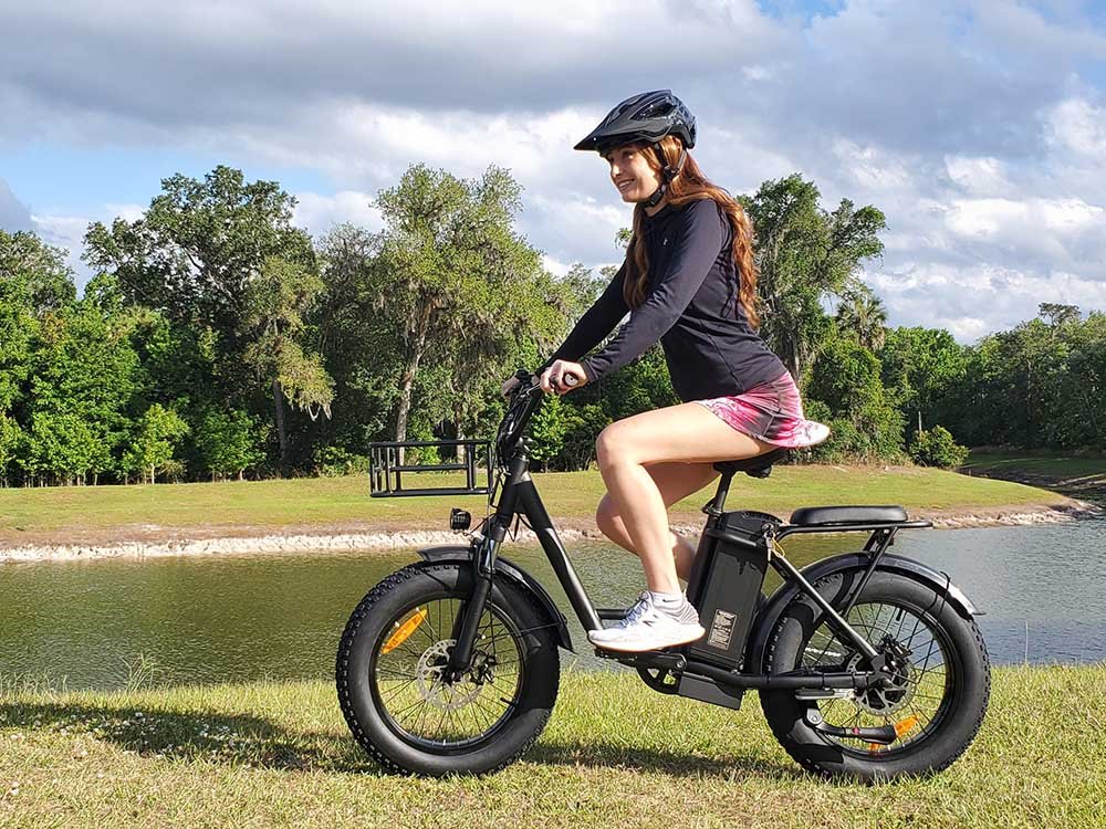 Freego FB-20X Electric Bike