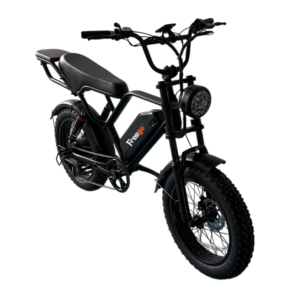 Freego FTW-01 Electric Bike