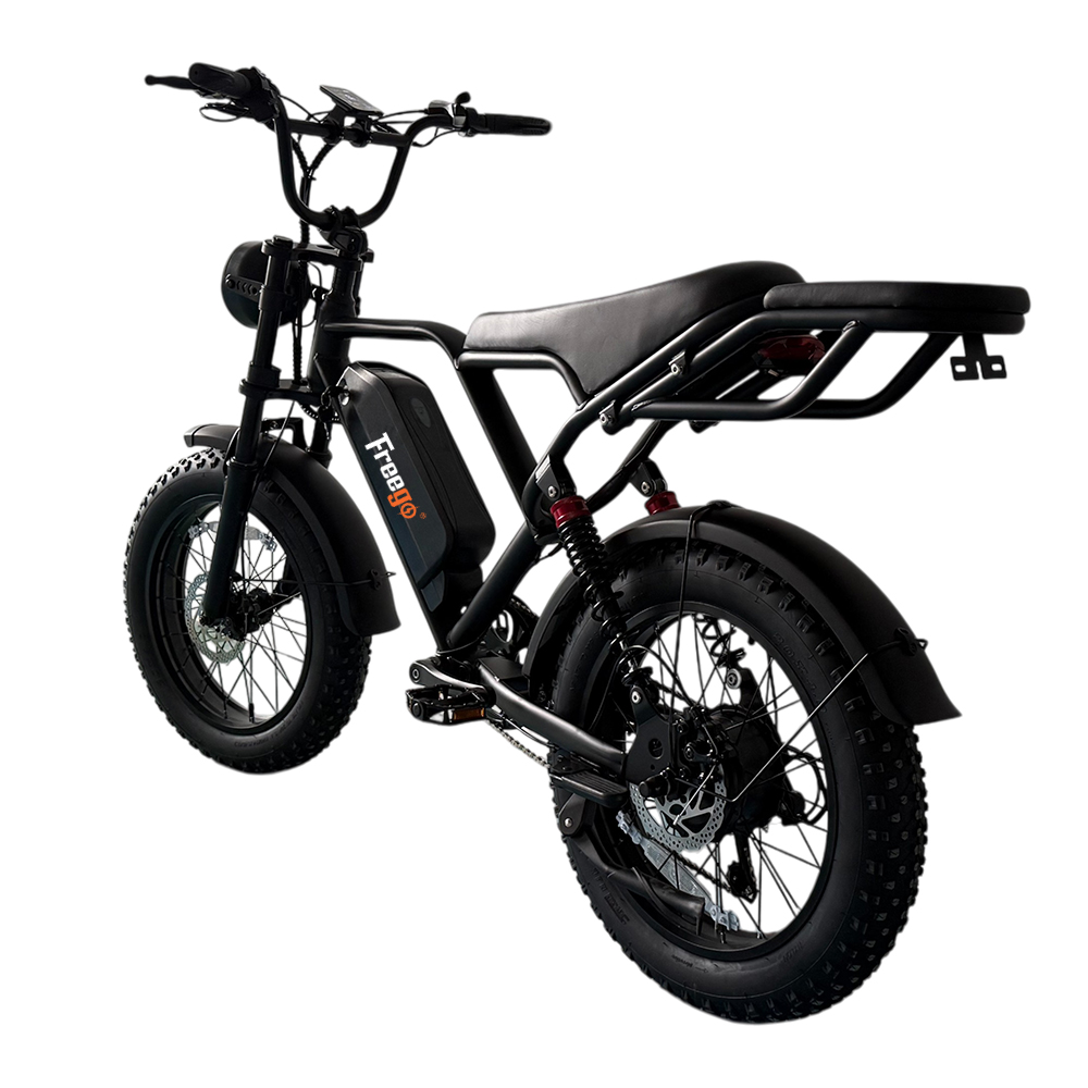 Freego FTW-01 Electric Bike