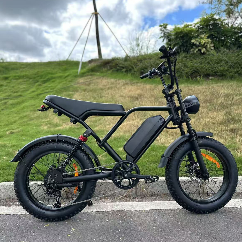 Freego FTW-01 Electric Bike