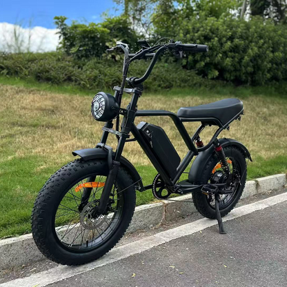 Freego FTW-01 Electric Bike
