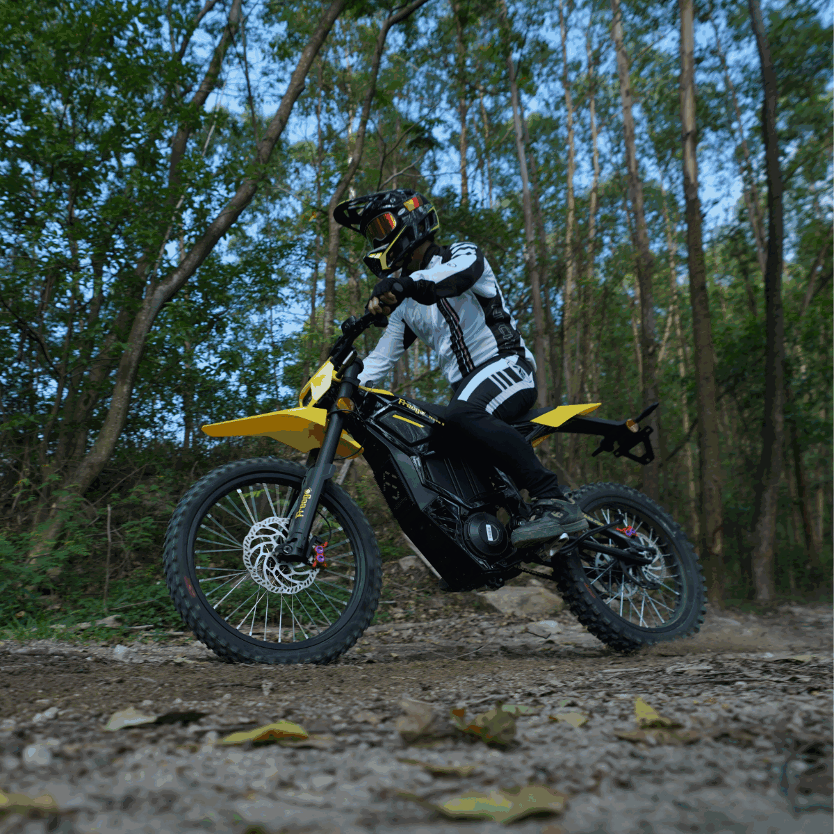 Freego Nova 5 Electric Bike