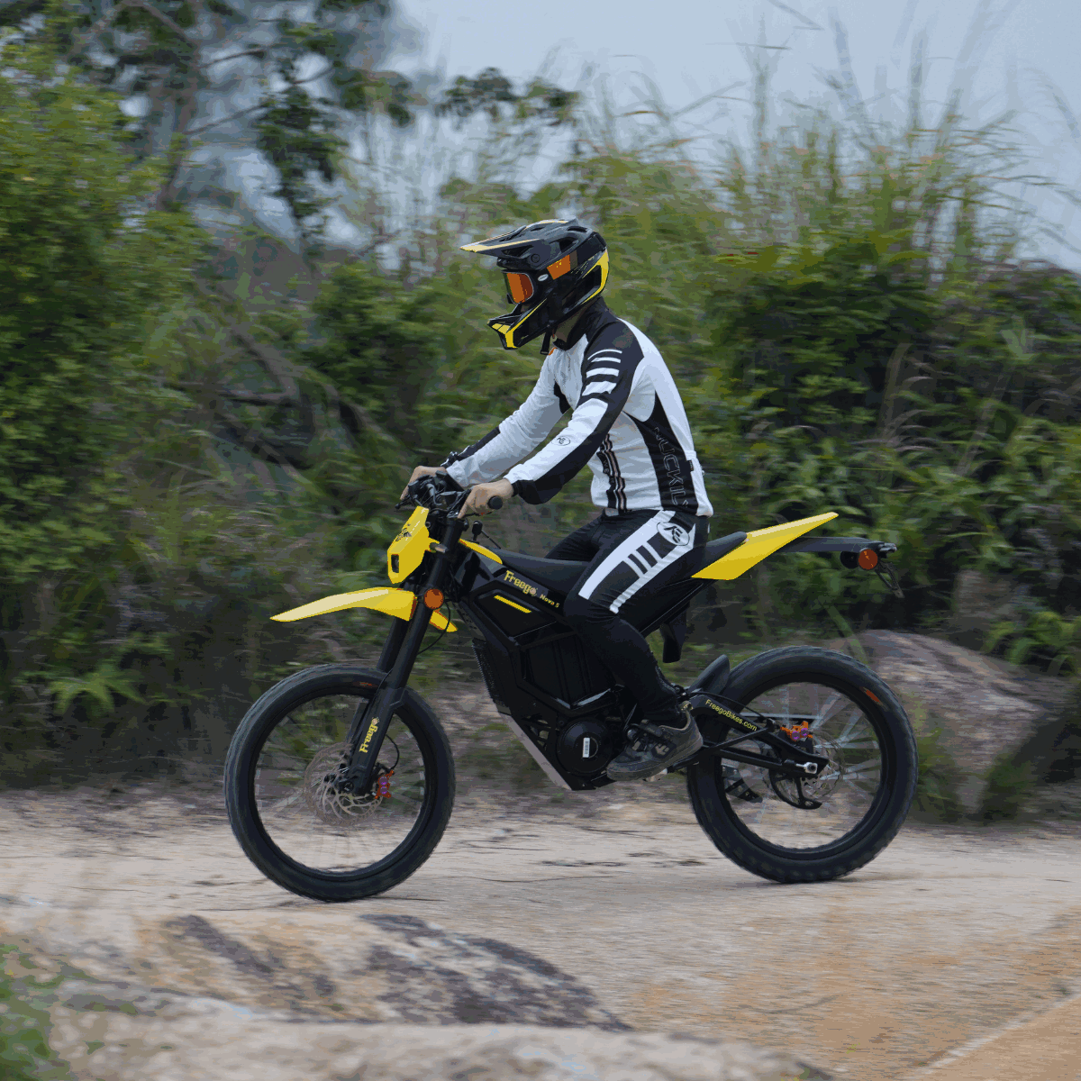 Freego Nova 5 Electric Bike