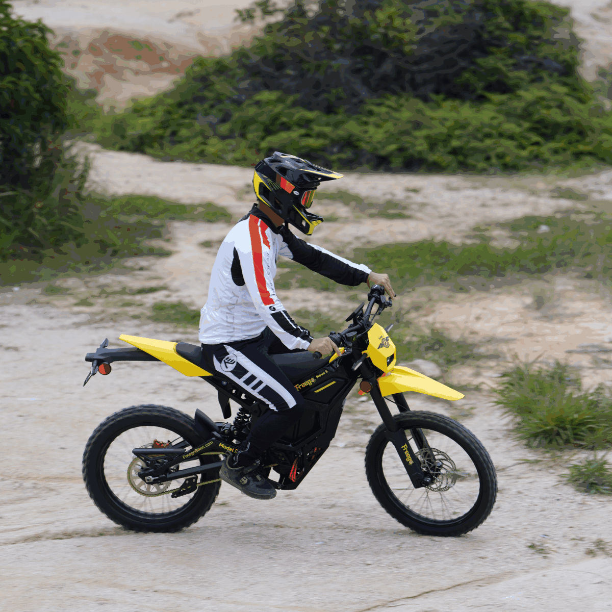 Freego Nova 5 Electric Bike