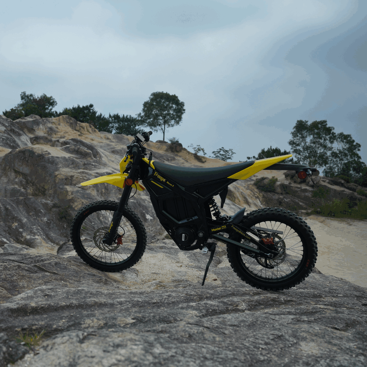 Freego Nova 5 Electric Bike