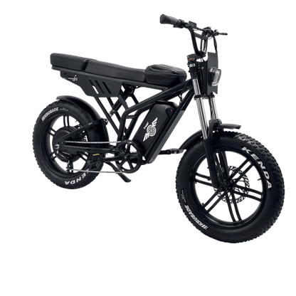 Freego F2 Pro Max Electric Bike