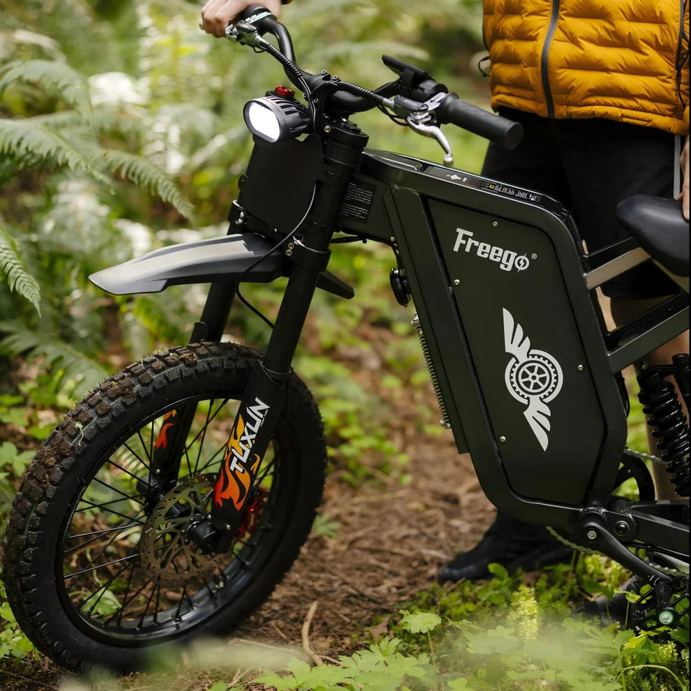 FREEGO X1 SE 250W City-Pendler-E-Bike