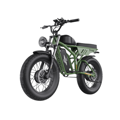 Freego F3 Pro Electric Bike