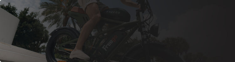 Freego® Europe Official Shop | Electric Bikes & Motorcycles