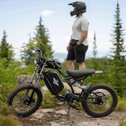 Freego Nova 3 Electric Bike