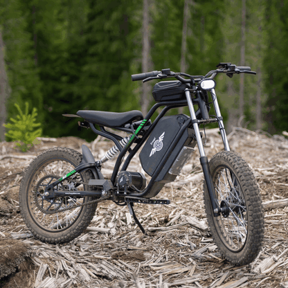 Freego Nova 3 Electric Bike