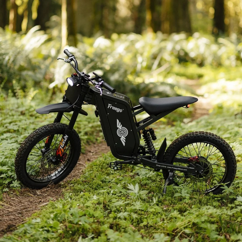 FREEGO X1 SE 250W City-Pendler-E-Bike