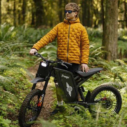 FREEGO X1 SE 250W City-Pendler-E-Bike