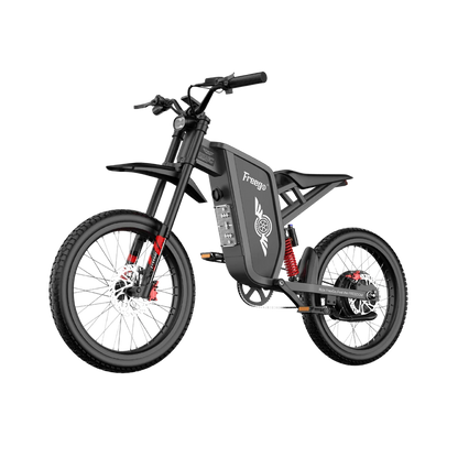 FREEGO X1 SE 250W City-Pendler-E-Bike