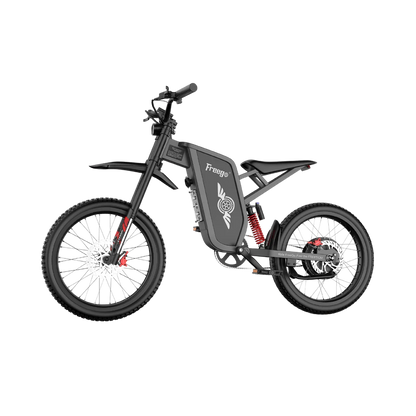 FREEGO X1 SE 250W City-Pendler-E-Bike