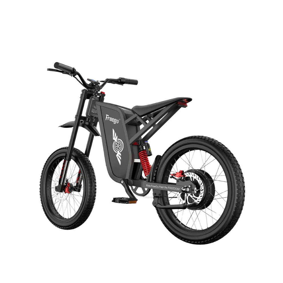 FREEGO X1 SE 250W City-Pendler-E-Bike