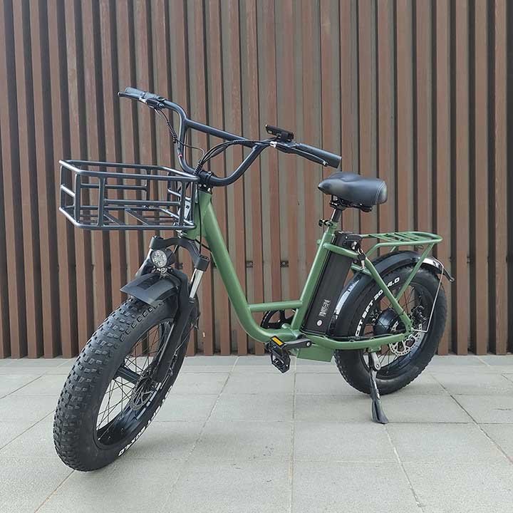 Freego FB-20X Electric Bike