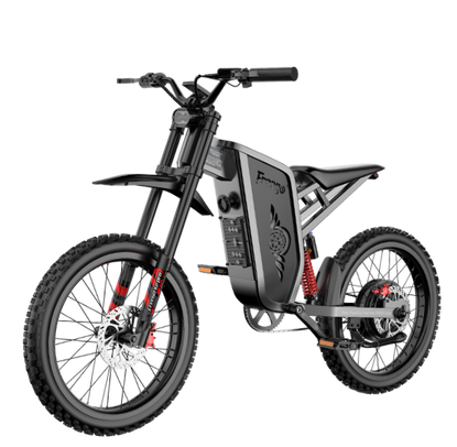 Freego X2 & X2 Pro Electric Bike